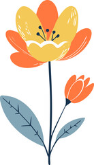 illustration of a flower 