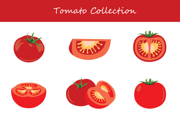 tomato collection in different poses. Vector illustration.