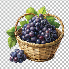 fresh grape png image design 