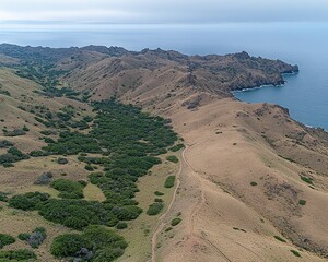 Aerial view of coastal hills and green patches along the rugged coastline leading into the serene ocean under cloudy skies, showcasing natural beauty