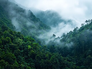 Rainforest landscape with trees and fog - ai