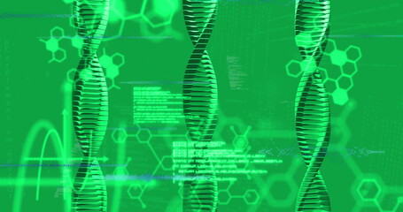 Image of digital data processing and dna strand on green background