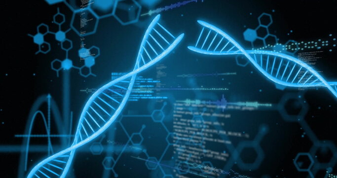 Image of digital data processing and dna strands on black background