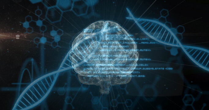 Image of scientific data processing over human brain and dna strands on dark background - Powered by Adobe
