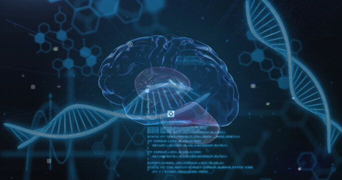 Image of scientific data processing over human brain and dna strands on dark background