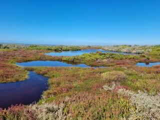 Werribee Western Treatment Plant Bird Watching Site in Victoria