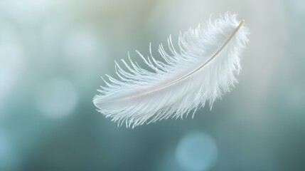 White feather floating in the air, in a pure and serene environment, evoking a sense of calm and weightlessness 