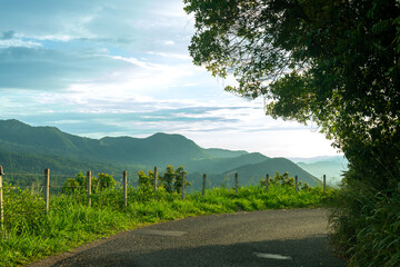 Road between mountains and surrounded by forest in Colombia.