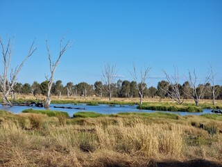 Winton Wetlands in Victoria, Australia