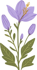 purple and white flowers