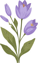 purple and white flowers