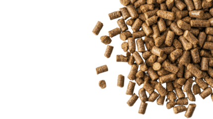 pellet on a transparent background