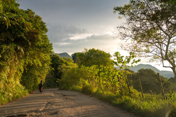 Fototapeta premium Dog and motorcyclist on a dirt road in a tropical forest area between mountains in Colombia