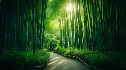 Serenity in Green: Golden Sunset Over the Majestic Anji Bamboo Sea