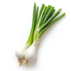 photo of a scallion isolated on white background