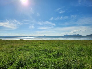Obraz premium Wunjunga Wetlands in Queensland, Australia
