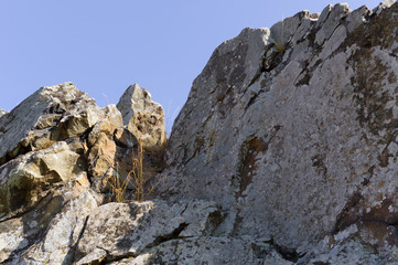 A close-up view of an old and weathered rock. Abstract background for various uses.