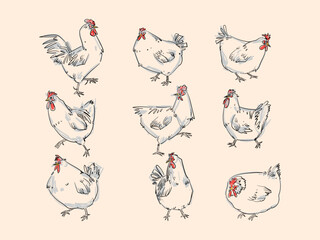 Set of chicken, hen, rooster animal hand drawn line art vector illustration. Sketch, outline vintage style poultry farm bird animal collection.