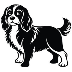 Fototapeta premium cute cavalier king charles spaniel dog