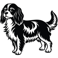 cute cavalier king charles spaniel dog