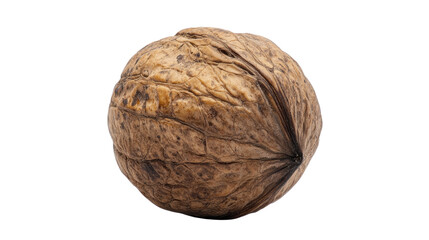 walnut transparent background