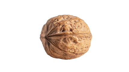walnut transparent background