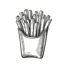 french fries vector hand drawn illustration