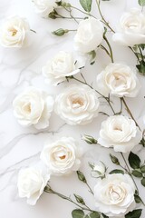 Obraz premium Aesthetic arrangement of white roses on a marble surface.