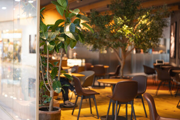 Comfortable office space, cafe decoration, coffee culture, people comfortably drinking coffee, americano and latte