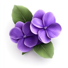 A pair of vibrant purple flowers with green leaves, illustrating natural beauty.