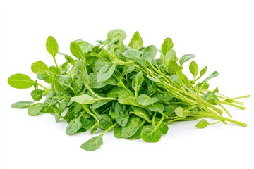 Obraz premium Fresh water spinach isolated on white background