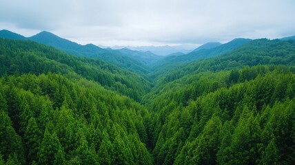 A serene view of lush green forests nestled between majestic mountains under a cloudy sky.