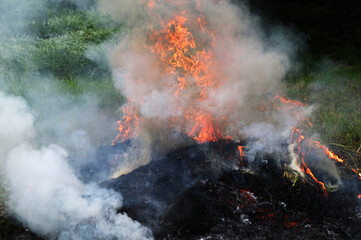 fire and lots of smoke in an open space