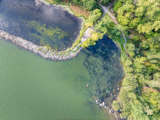 Aerial view of lake or river green shore with forest. Summer season.