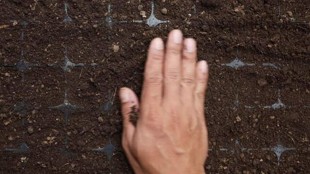 farmer's hand preparing seedling tray with soil for growth