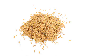 Paddy rice isolated on white background. Jasmine rice