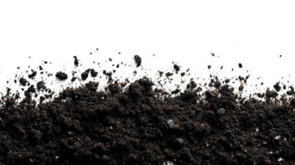 land on a transparent background