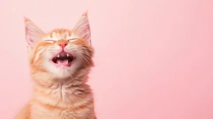Fototapete Tierärzte A joyful cat laughs with its eyes closed, showcasing pure happiness against a soft pastel backdrop. Its playful expression adds warmth to the tranquil setting  © Elmira