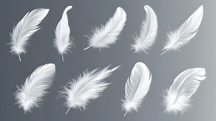A collection of ten white feathers on a gradient background.