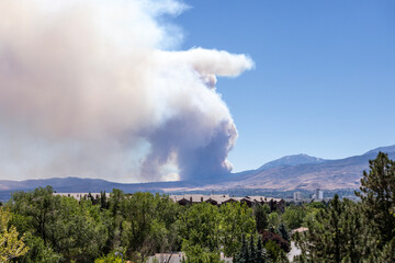 Massive plume of wildfire smoke seen over Reno Nevada from the Davis fire over trees and housing