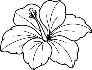 Tropical Hibiscus Flower Coloring Page - Cartoon Vector Illustration, Logo Icon, Clipart Design, Line Art, Silhouette 
