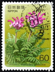 Postage stamp Japan 1986 pedicularis apodochila, alpine plant