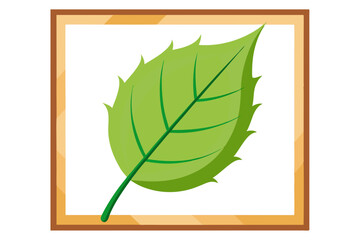 Close up corner of a wooden frame with a green leaf in the background.