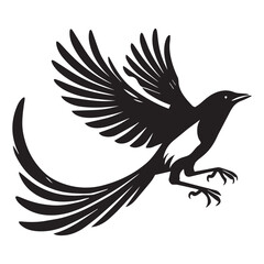 Obraz premium American magpie Clipart - Black-billed Magpie Vector Illustration in black and white 