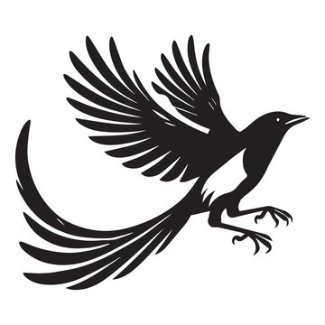 recommend clip art: American magpie Clipart - Black-billed Magpie Vector Illustration in black and white 