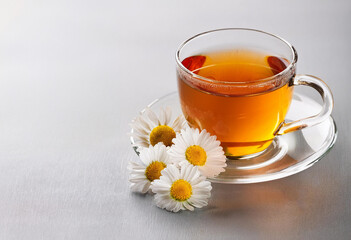 cup of tea with chamomile flowers