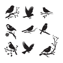set of black birds silhouettes on white	
