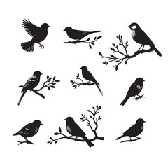 set of black birds silhouettes on white	
