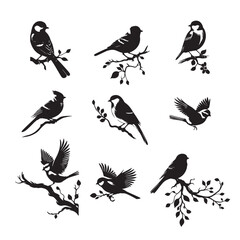 set of black birds silhouettes on white	
