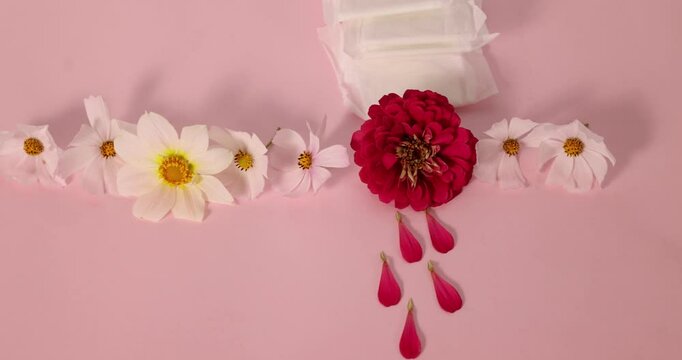 A beautiful floral arrangement with bright red and white flowers elegantly arranged on a pale pink background, symbolizing menstruation